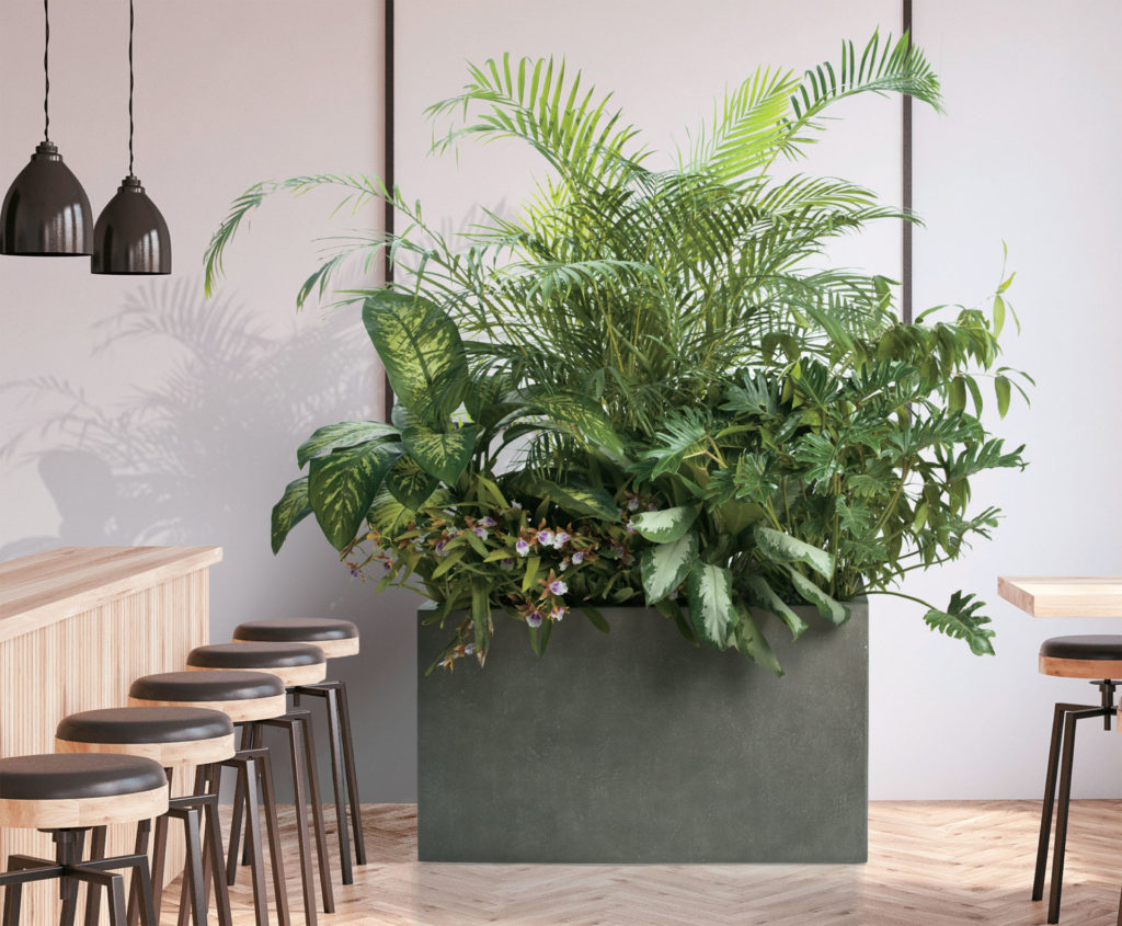 Paolelli Outdoor